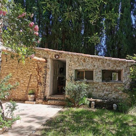 La Bastide Du Capelier - Chambres D'Hotes Avec Baignoire Balneotherapie - 3 Etoiles 살레르느 외부 사진